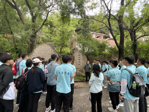 图片8