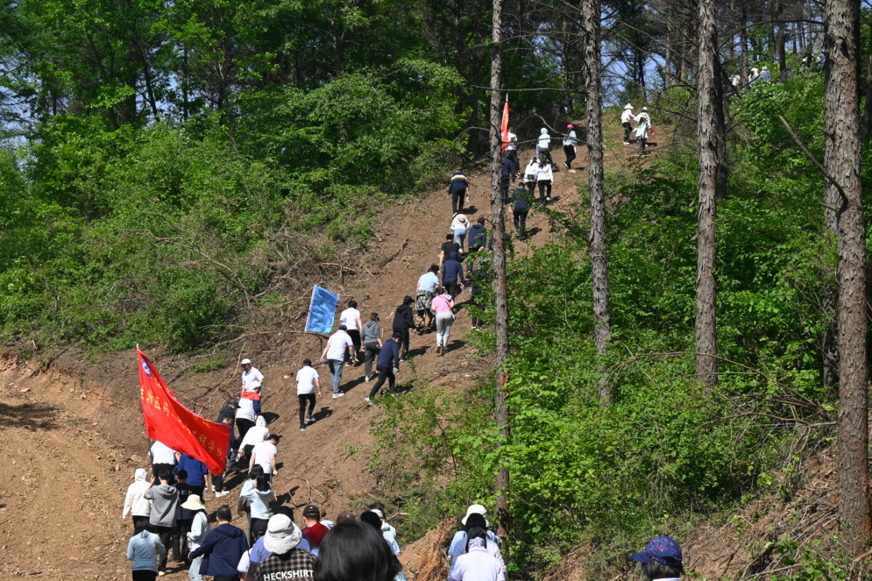 上山2.JPG