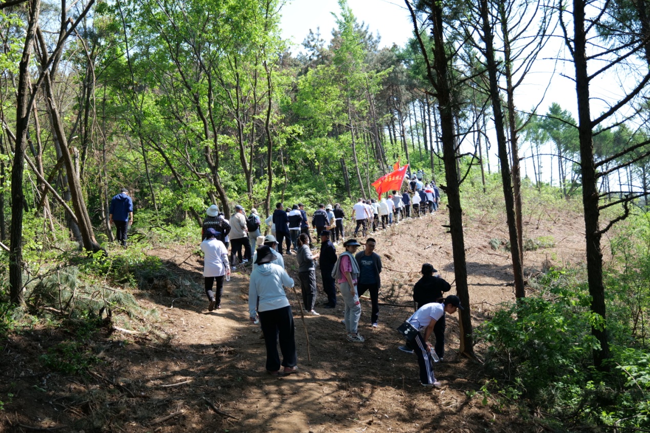 P1011434.JPG