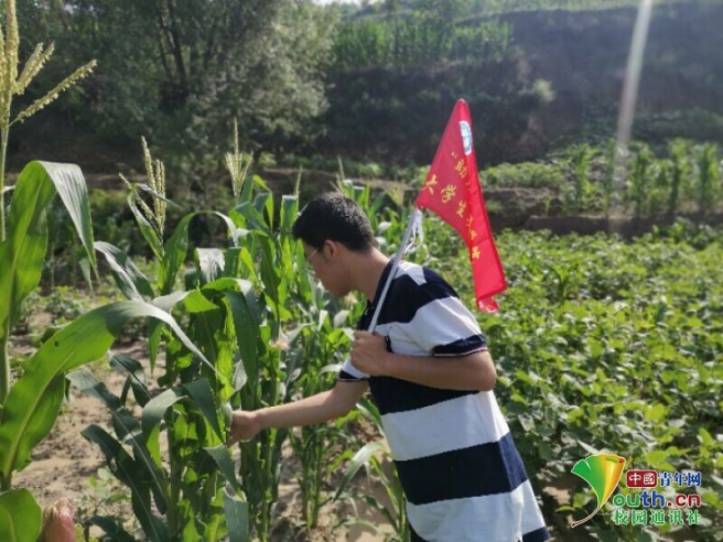 微信图片_20220813083948