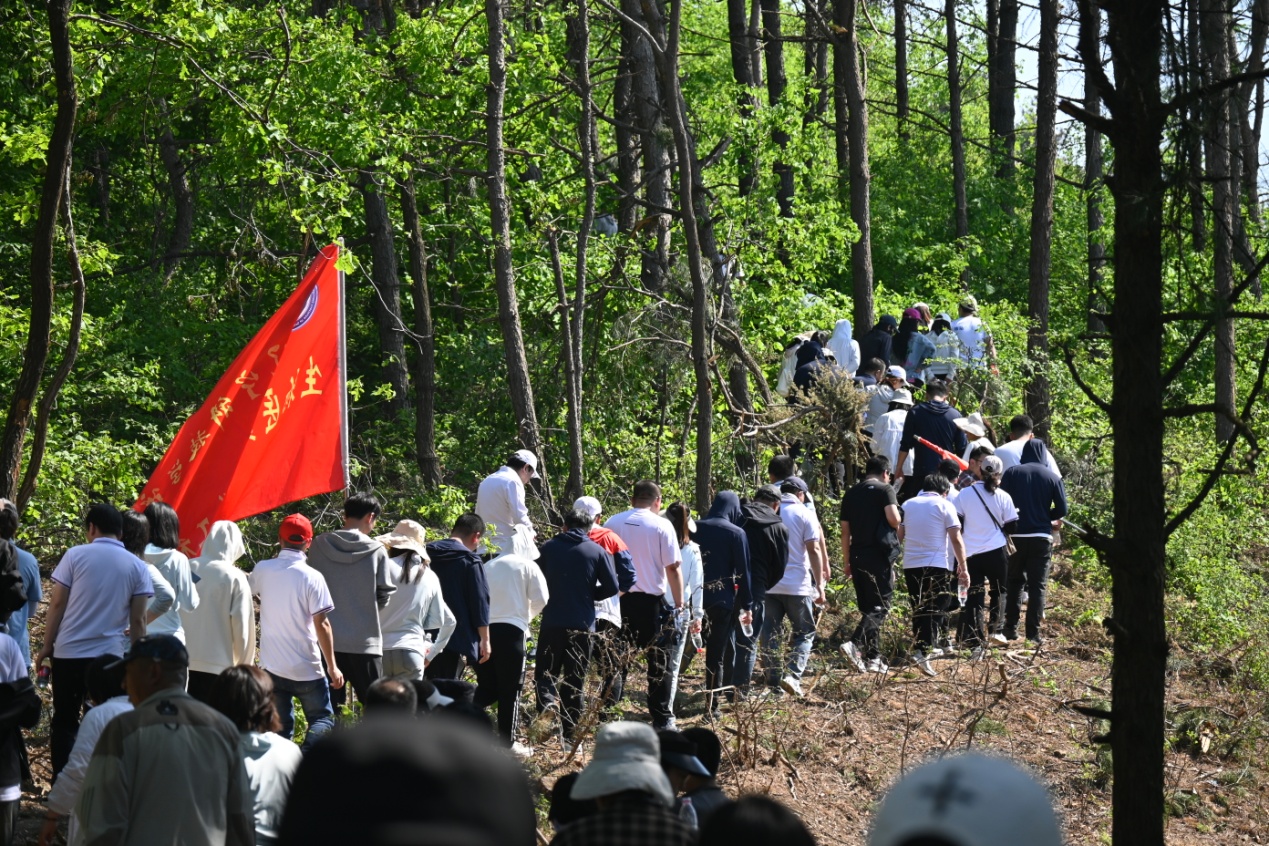 上山.JPG